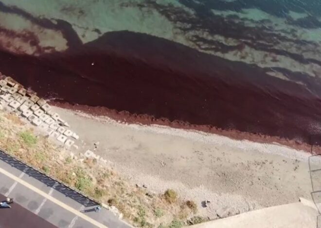 Tekirdağ’da tedirgin eden görüntü: Poyraz esti, sahil ‘kırmızıya’ döndü